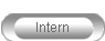 Intern